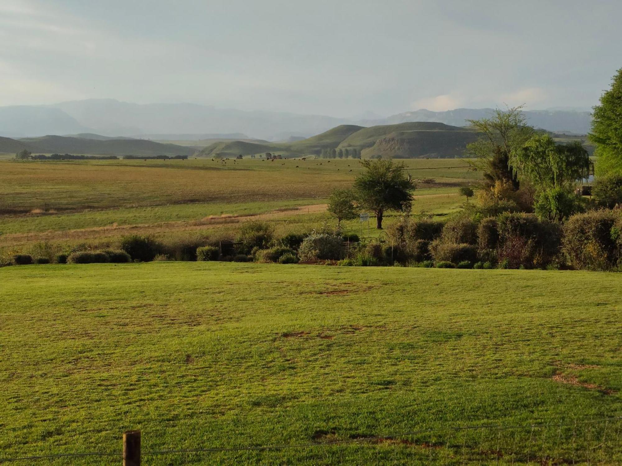 Sani Pass View Cottage هيمفيل المظهر الخارجي الصورة